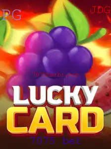 7075 bet Casino App